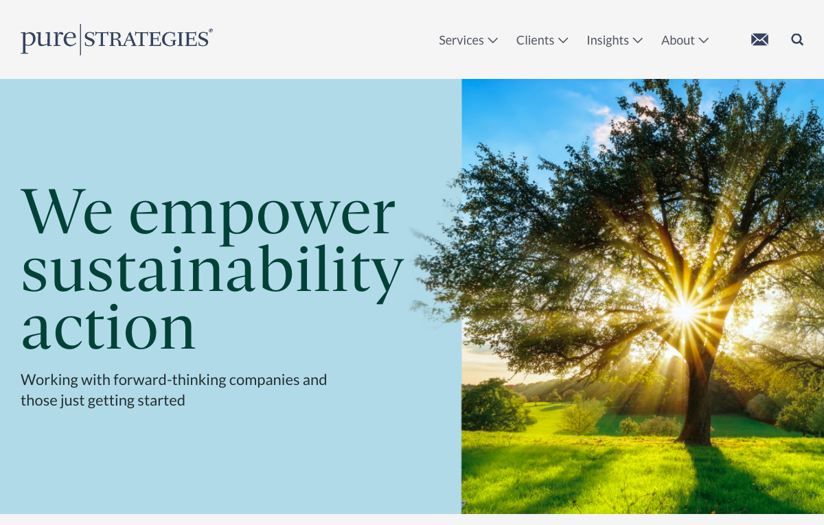 Pure Strategies website screenshot